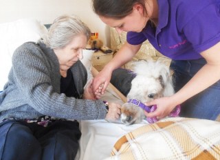 Claremont Lodge Care Home with Nursing, Chichester, West Sussex
