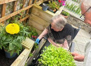 Coed Mor Residential Care Home, Abergele, Conwy