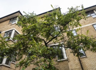 Alan Morkill House, London, London
