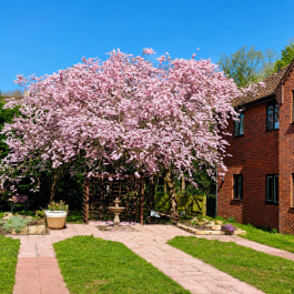 Abbey Wood Court, Retford, Nottinghamshire