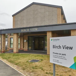 Birch View