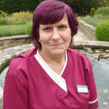Sandra