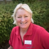 Tracy