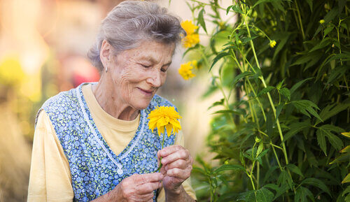 care home for Parkinsons, parkinsons care home, parkinsons, symptoms of parkinsons